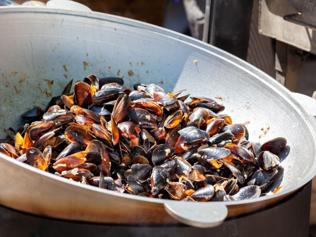 Les moules françaises rétrécissent-elles en 2026 ? Oui, et voici pourquoi.